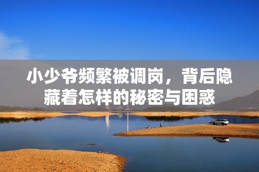 小少爷频繁被调岗，背后隐藏着怎样的秘密与困惑
