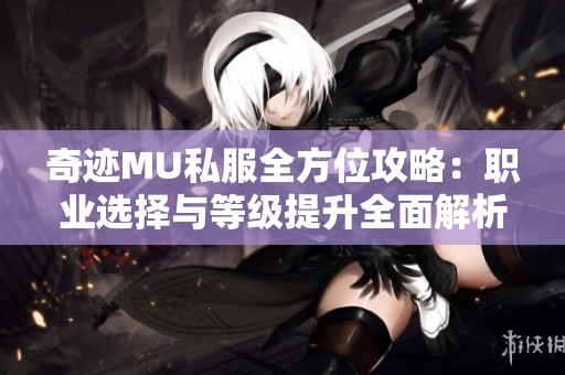 奇迹MU私服全方位攻略：职业选择与等级提升全面解析助你游戏称王