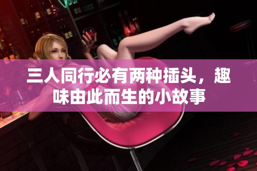 三人同行必有两种插头，趣味由此而生的小故事
