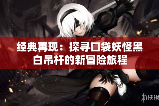经典再现：探寻口袋妖怪黑白吊杆的新冒险旅程