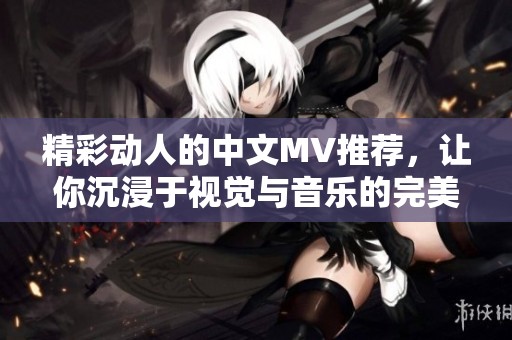 精彩动人的中文MV推荐，让你沉浸于视觉与音乐的完美结合