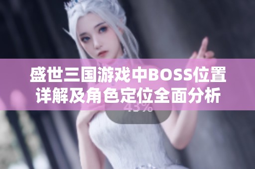 盛世三国游戏中BOSS位置详解及角色定位全面分析