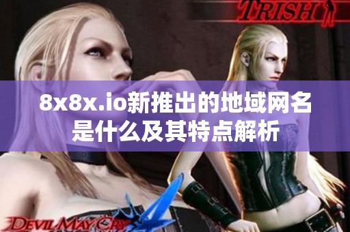8x8x.io新推出的地域网名是什么及其特点解析