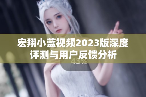 宏翔小蓝视频2023版深度评测与用户反馈分析