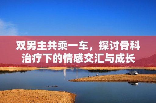 双男主共乘一车，探讨骨科治疗下的情感交汇与成长