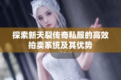 探索新天裂传奇私服的高效拍卖系统及其优势
