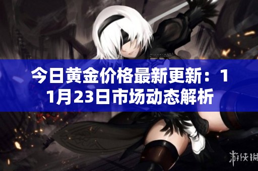 今日黄金价格最新更新：11月23日市场动态解析