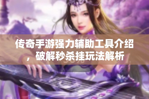 传奇手游强力辅助工具介绍，破解秒杀挂玩法解析