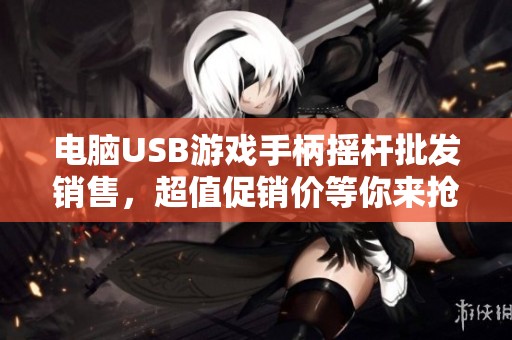 电脑USB游戏手柄摇杆批发销售，超值促销价等你来抢购
