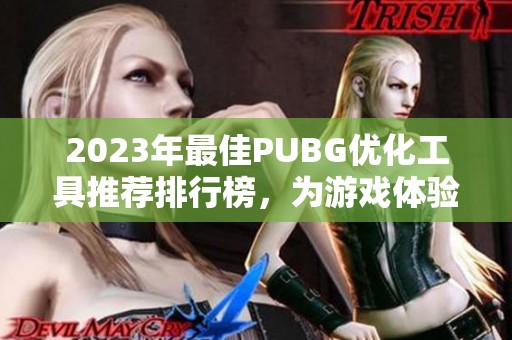 2023年最佳PUBG优化工具推荐排行榜，为游戏体验加速助力
