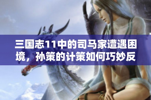 三国志11中的司马家遭遇困境，孙策的计策如何巧妙反击