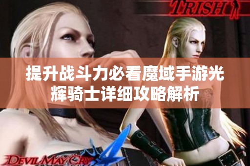 提升战斗力必看魔域手游光辉骑士详细攻略解析