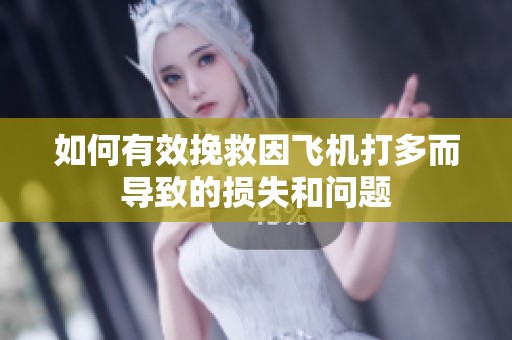 如何有效挽救因飞机打多而导致的损失和问题