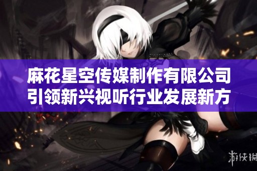 麻花星空传媒制作有限公司引领新兴视听行业发展新方向