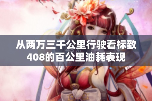 从两万三千公里行驶看标致408的百公里油耗表现