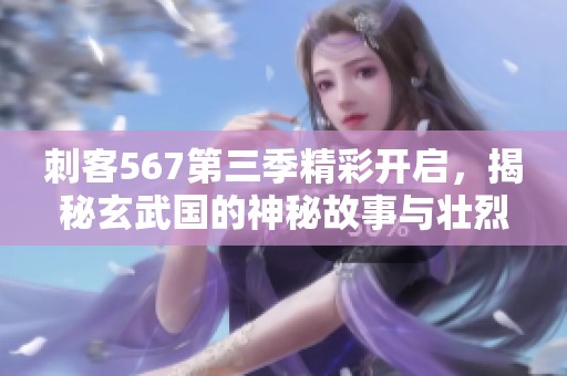刺客567第三季精彩开启，揭秘玄武国的神秘故事与壮烈使命