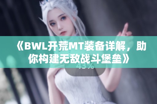 《BWL开荒MT装备详解，助你构建无敌战斗堡垒》