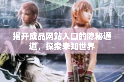揭开成品网站入口的隐秘通道，探索未知世界