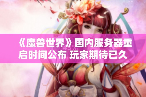 《魔兽世界》国内服务器重启时间公布 玩家期待已久的消息终于来了
