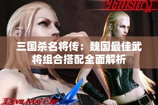 三国杀名将传：魏国最佳武将组合搭配全面解析