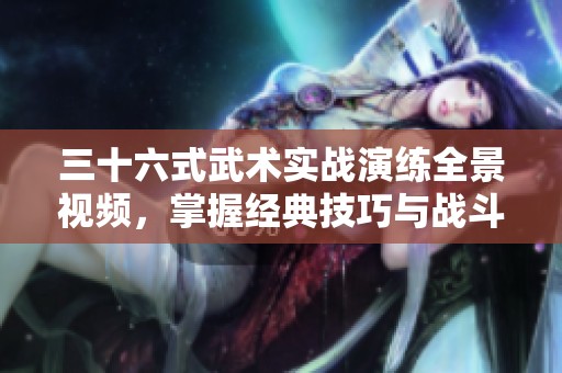 三十六式武术实战演练全景视频，掌握经典技巧与战斗智慧