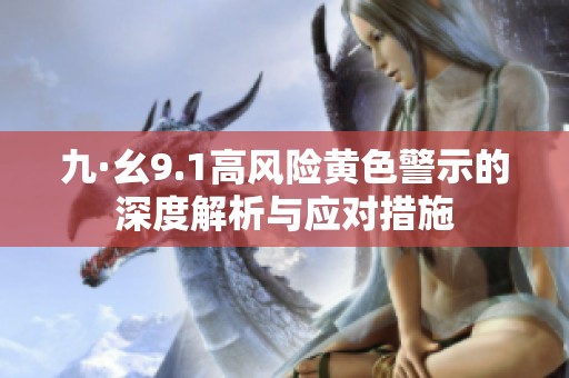 九·幺9.1高风险黄色警示的深度解析与应对措施