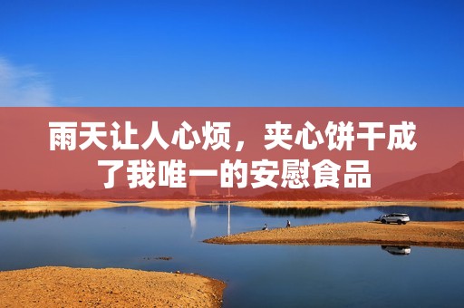 雨天让人心烦，夹心饼干成了我唯一的安慰食品