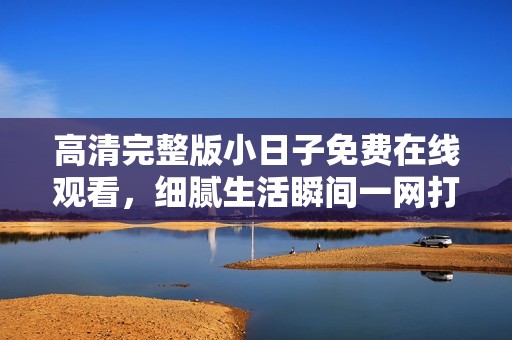 高清完整版小日子免费在线观看，细腻生活瞬间一网打尽