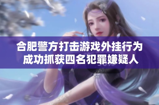 合肥警方打击游戏外挂行为 成功抓获四名犯罪嫌疑人
