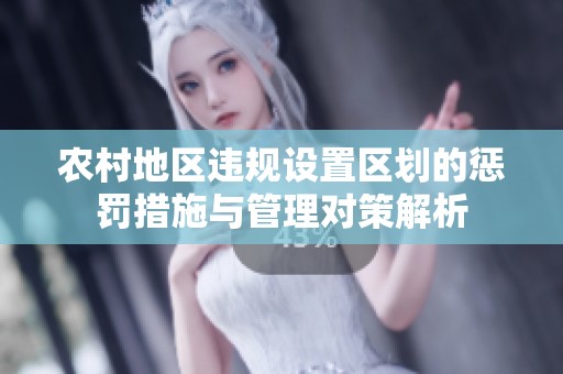 农村地区违规设置区划的惩罚措施与管理对策解析