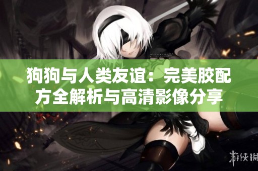 狗狗与人类友谊：完美胶配方全解析与高清影像分享