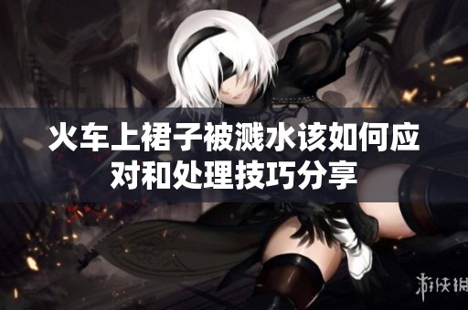 火车上裙子被溅水该如何应对和处理技巧分享