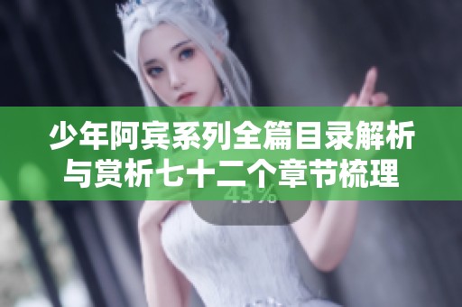 少年阿宾系列全篇目录解析与赏析七十二个章节梳理