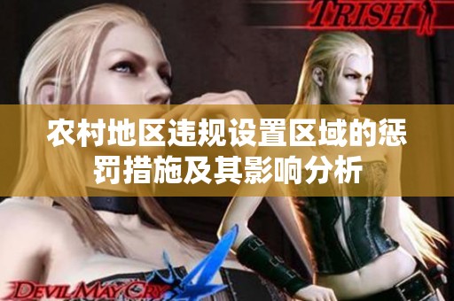 农村地区违规设置区域的惩罚措施及其影响分析