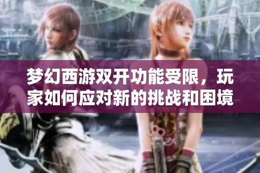 梦幻西游双开功能受限，玩家如何应对新的挑战和困境