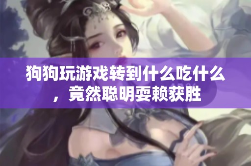 狗狗玩游戏转到什么吃什么，竟然聪明耍赖获胜