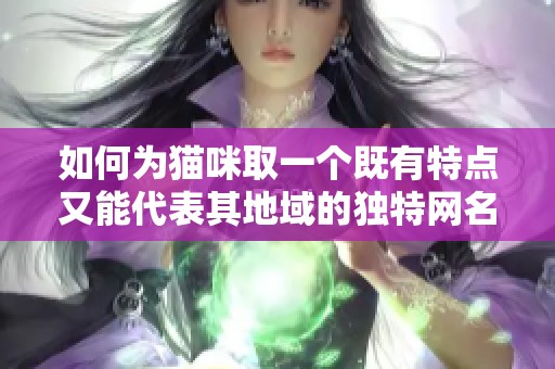 如何为猫咪取一个既有特点又能代表其地域的独特网名