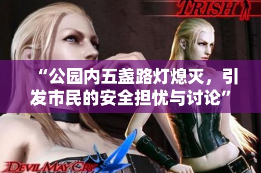 “公园内五盏路灯熄灭，引发市民的安全担忧与讨论”