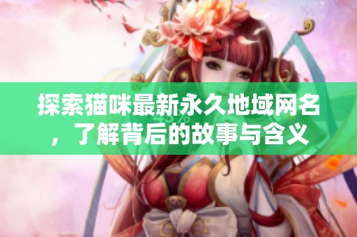 探索猫咪最新永久地域网名，了解背后的故事与含义