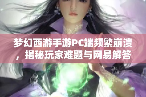 梦幻西游手游PC端频繁崩溃，揭秘玩家难题与网易解答