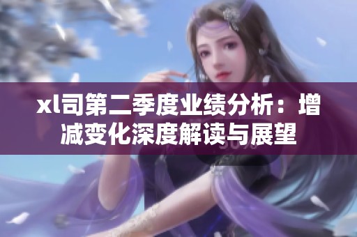 xl司第二季度业绩分析：增减变化深度解读与展望