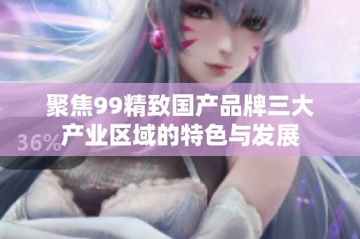 聚焦99精致国产品牌三大产业区域的特色与发展