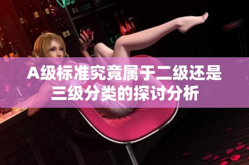A级标准究竟属于二级还是三级分类的探讨分析