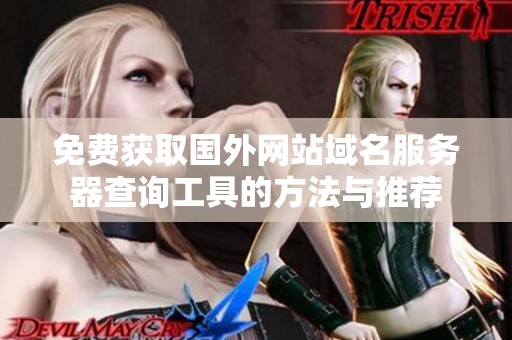 免费获取国外网站域名服务器查询工具的方法与推荐